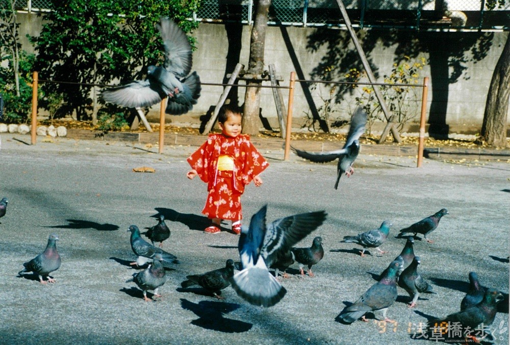 柳北公園でハトと戯れる夏幸